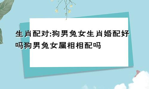 生肖配对:狗男兔女生肖婚配好吗狗男兔女属相相配吗