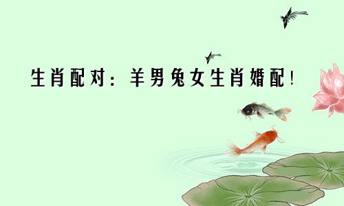 生肖配对：羊男兔女生肖婚配！