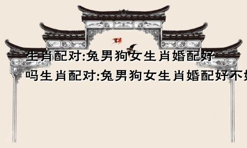 生肖配对:兔男狗女生肖婚配好吗生肖配对:兔男狗女生肖婚配好不好
