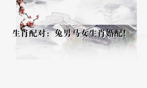 生肖配对：兔男马女生肖婚配！