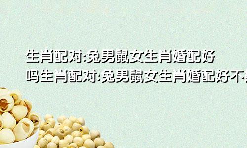 生肖配对:兔男鼠女生肖婚配好吗生肖配对:兔男鼠女生肖婚配好不好