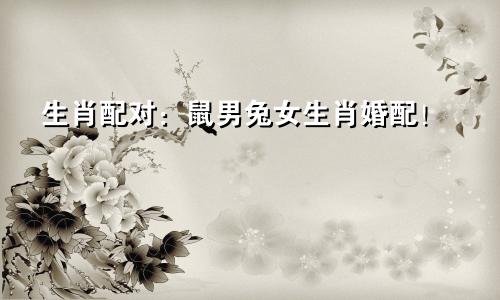 生肖配对：鼠男兔女生肖婚配！