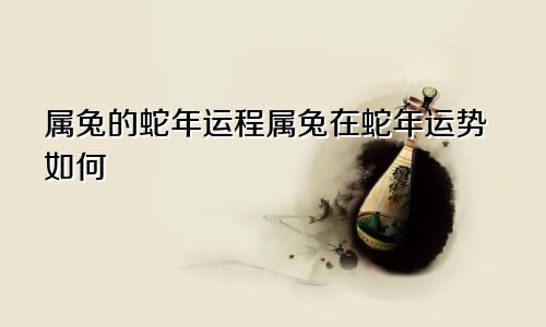 属兔的蛇年运程属兔在蛇年运势如何