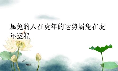 属兔的人在虎年的运势属兔在虎年运程