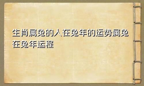 生肖属兔的人在兔年的运势属兔在兔年运程