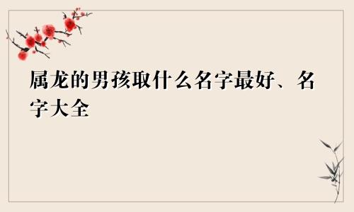属龙的男孩取什么名字最好、名字大全