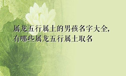 属龙五行属土的男孩名字大全,有哪些属龙五行属土取名