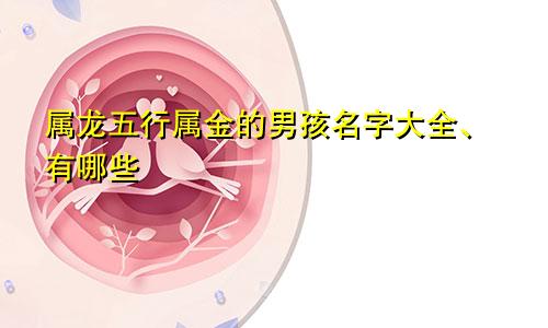 属龙五行属金的男孩名字大全、有哪些