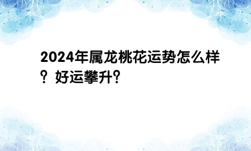 2024年属龙桃花运势怎么样？好运攀升？