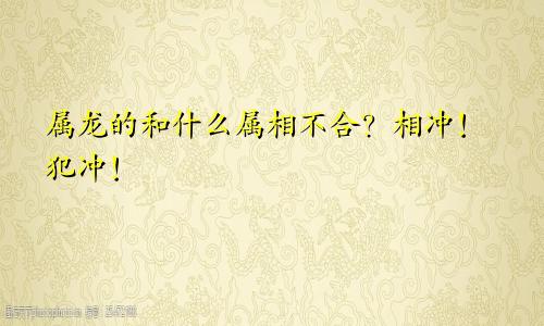 属龙的和什么属相不合？相冲！犯冲！