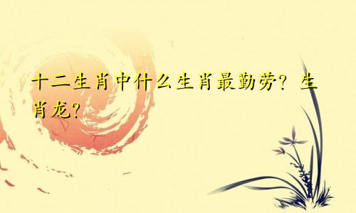 十二生肖中什么生肖最勤劳？生肖龙？