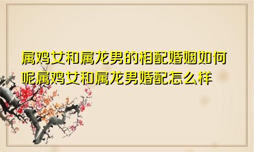 属鸡女和属龙男的相配婚姻如何呢属鸡女和属龙男婚配怎么样