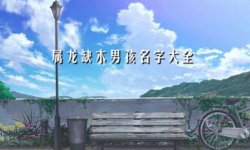 属龙缺木男孩名字大全