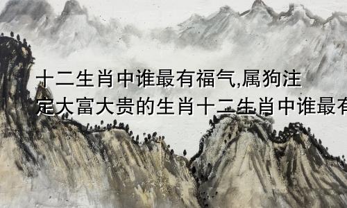 十二生肖中谁最有福气,属狗注定大富大贵的生肖十二生肖中谁最有福气,属狗注定大富大贵的动物