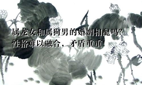 属龙女和属狗男的婚姻相配吗？性格难以融合，矛盾重重！