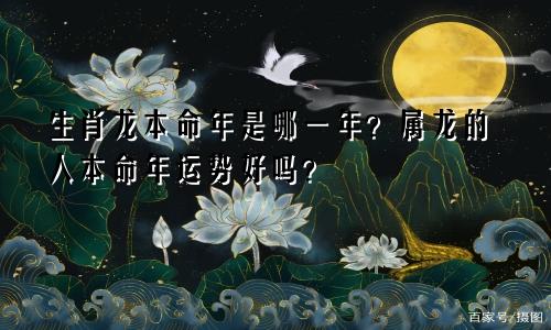 生肖龙本命年是哪一年？属龙的人本命年运势好吗？
