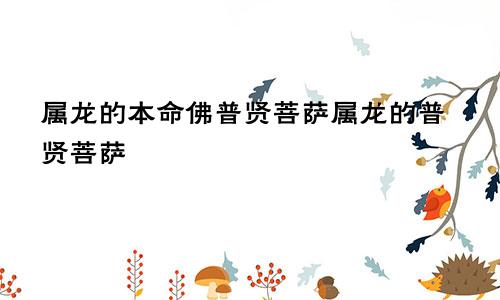 属龙的本命佛普贤菩萨属龙的普贤菩萨