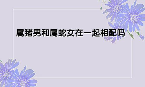 属猪男和属蛇女在一起相配吗