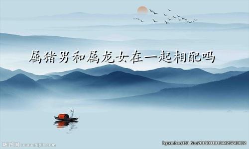 属猪男和属龙女在一起相配吗