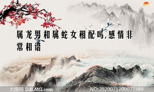 属龙男和属蛇女相配吗,感情非常和谐