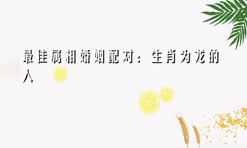 最佳属相婚姻配对：生肖为龙的人