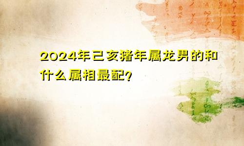 2024年己亥猪年属龙男的和什么属相最配？