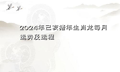 2024年己亥猪年生肖龙每月运势及运程