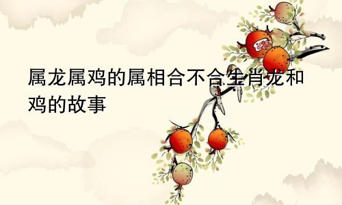 属龙属鸡的属相合不合生肖龙和鸡的故事