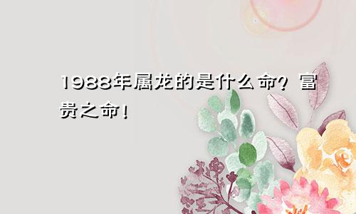 1988年属龙的是什么命？富贵之命！