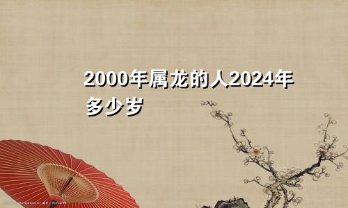2000年属龙的人2024年多少岁