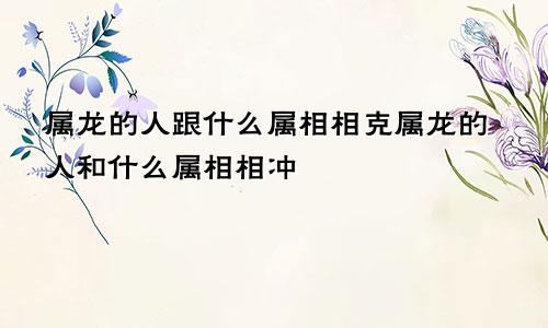 属龙的人跟什么属相相克属龙的人和什么属相相冲