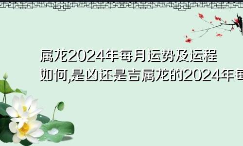 属龙2024年每月运势及运程如何,是凶还是吉属龙的2024年每月运势及运程