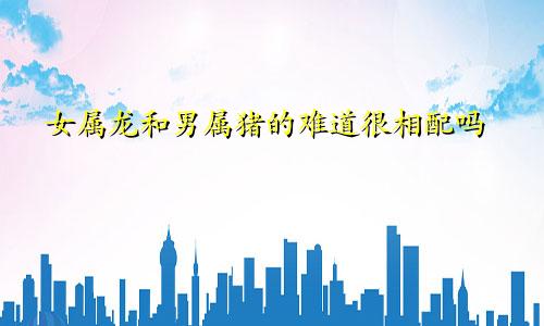 女属龙和男属猪的难道很相配吗