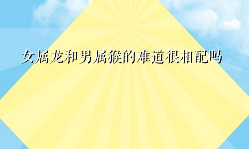 女属龙和男属猴的难道很相配吗