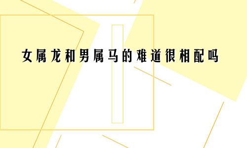 女属龙和男属马的难道很相配吗