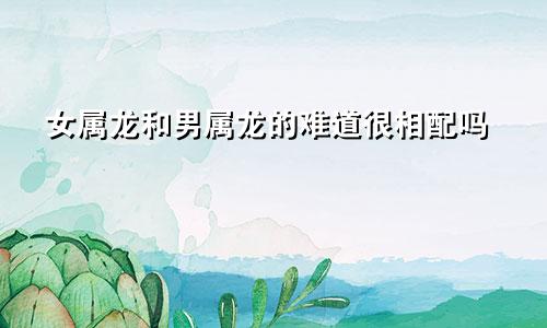 女属龙和男属龙的难道很相配吗