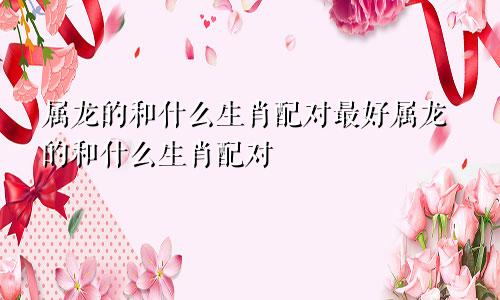 属龙的和什么生肖配对最好属龙的和什么生肖配对