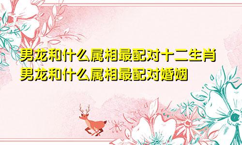男龙和什么属相最配对十二生肖男龙和什么属相最配对婚姻