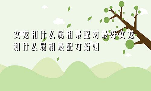 女龙和什么属相最配对最好女龙和什么属相最配对婚姻