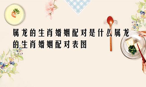 属龙的生肖婚姻配对是什么属龙的生肖婚姻配对表图