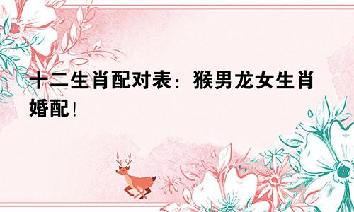 十二生肖配对表：猴男龙女生肖婚配！