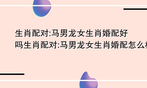 生肖配对:马男龙女生肖婚配好吗生肖配对:马男龙女生肖婚配怎么样