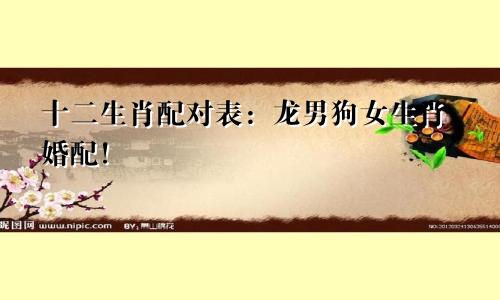十二生肖配对表：龙男狗女生肖婚配！