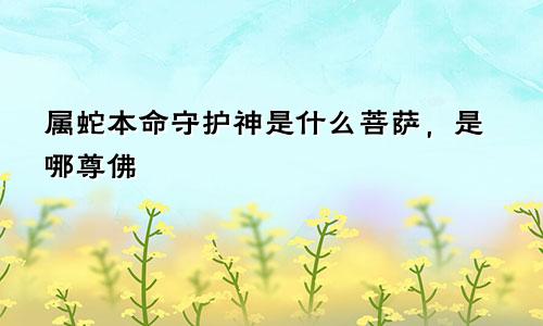 属蛇本命守护神是什么菩萨，是哪尊佛