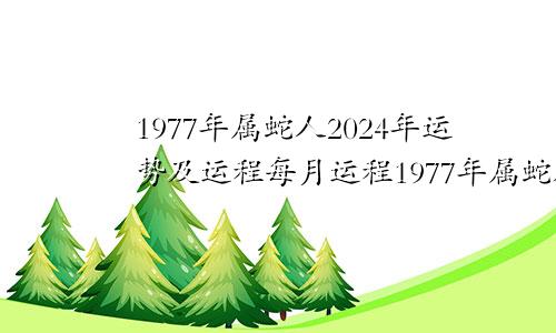 1977年属蛇人2024年运势及运程每月运程1977年属蛇人2024年运势及运程男