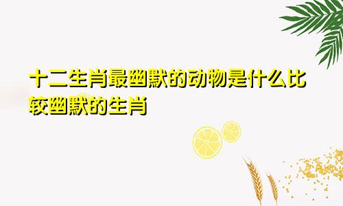十二生肖最幽默的动物是什么比较幽默的生肖