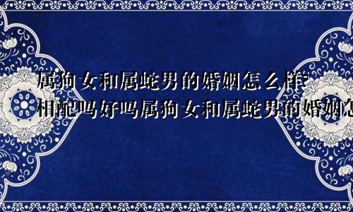 属狗女和属蛇男的婚姻怎么样?相配吗好吗属狗女和属蛇男的婚姻怎么样?相配吗