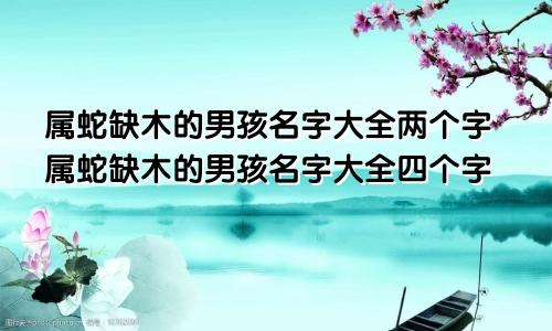 属蛇缺木的男孩名字大全两个字属蛇缺木的男孩名字大全四个字