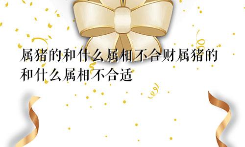 属猪的和什么属相不合财属猪的和什么属相不合适