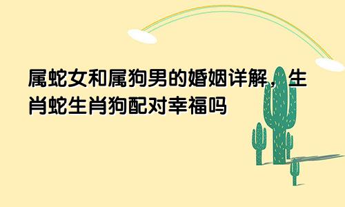 属蛇女和属狗男的婚姻详解，生肖蛇生肖狗配对幸福吗